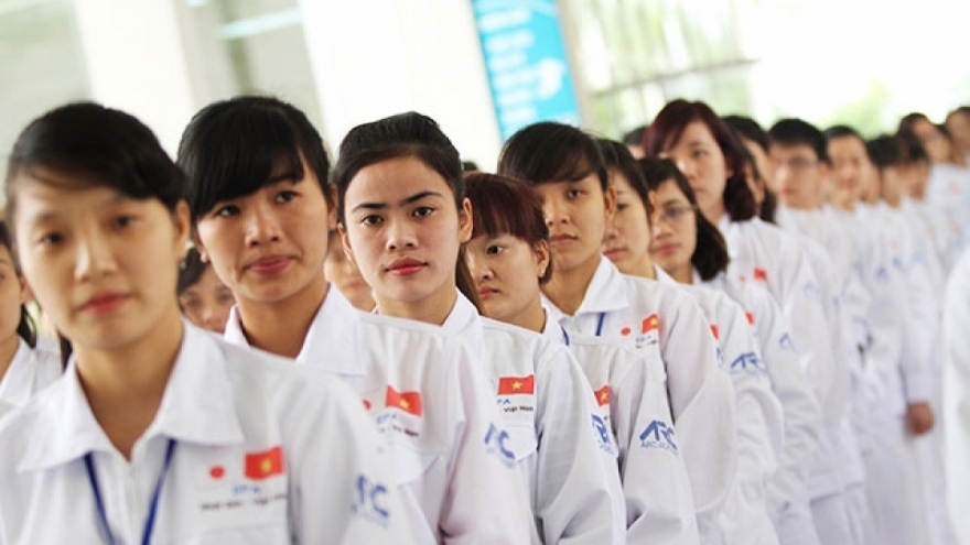Japan is largest recipient of Vietnamese guestworkers
